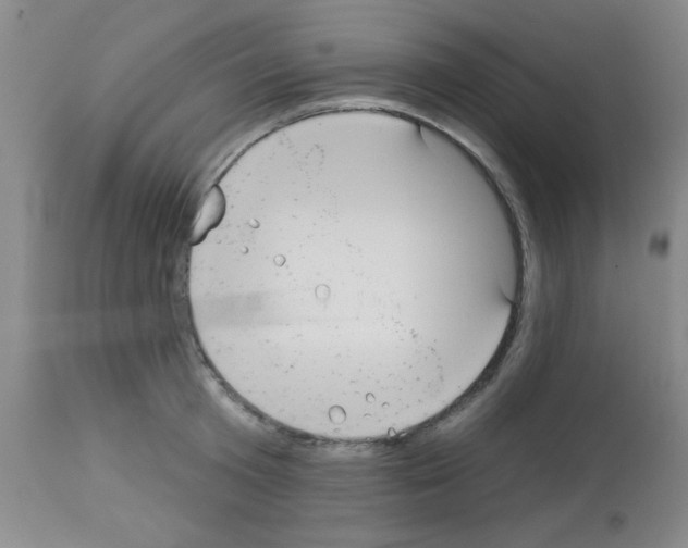 X0000113060801200910091142