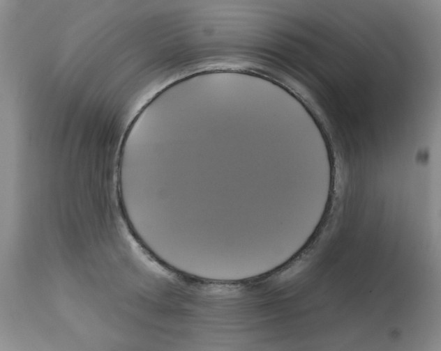 X0000113060802200910091142