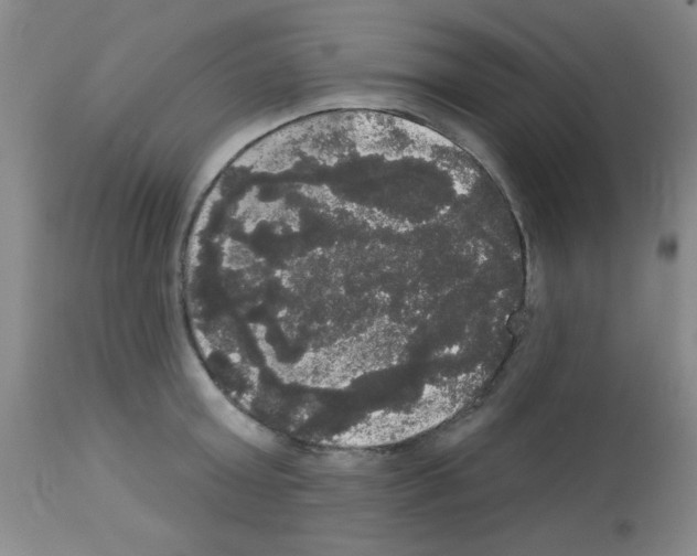 X0000113060803200910091142