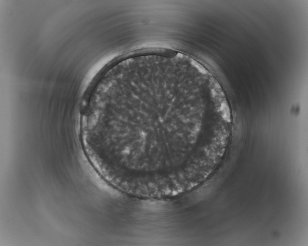 X0000113060804200910091142