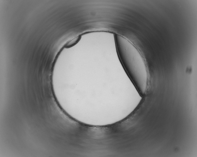 X0000113060805200910091142