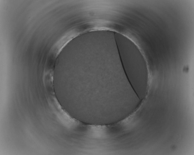X0000113060809200910091142