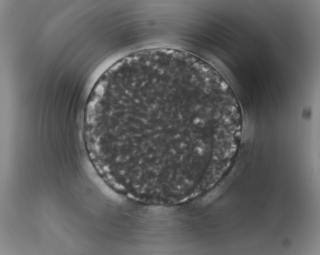 X0000113060812200910091142