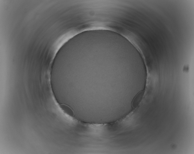 X0000113060813200910091142