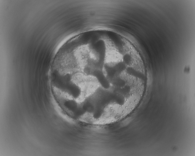 X0000113060814200910091142