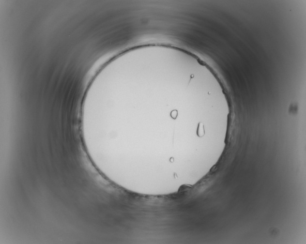 X0000113060815200910091142