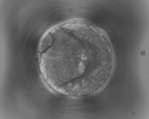 X0000113060816200910091142