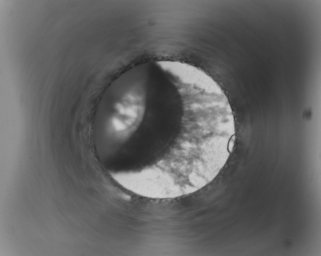 X0000113060817200910091141