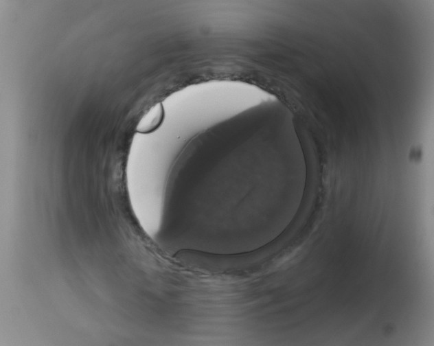 X0000113060818200910091141