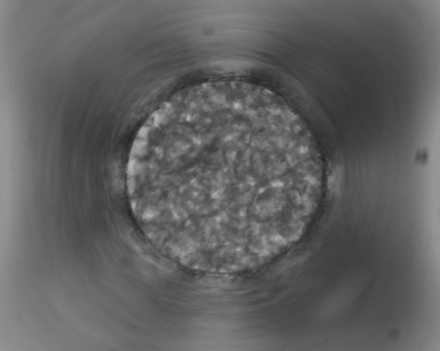X0000113060819200910091141