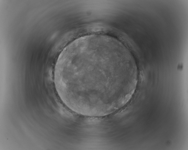 X0000113060820200910091141