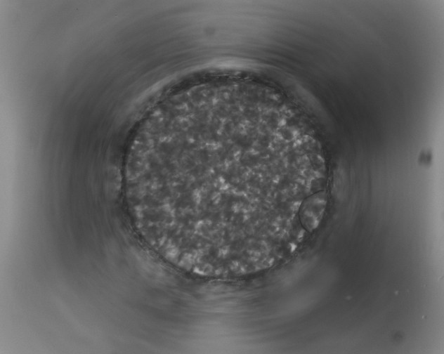 X0000113060821200910091141