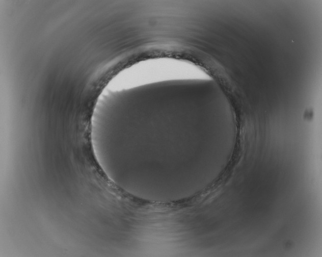 X0000113060822200910091141