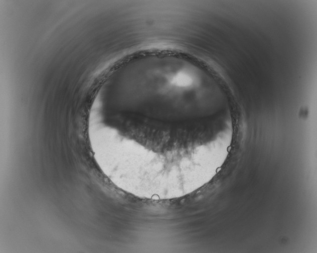 X0000113060823200910091141
