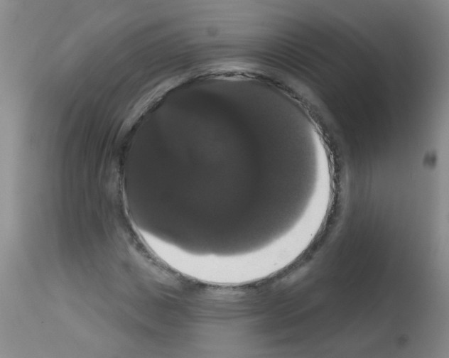 X0000113060825200910091141