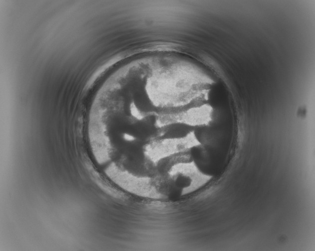 X0000113060827200910091141