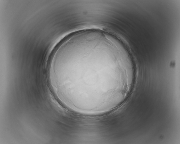 X0000113060828200910091141
