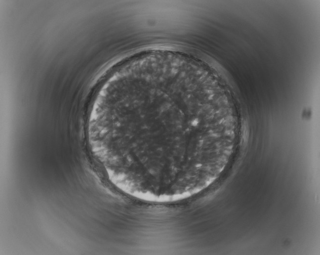 X0000113060829200910091141