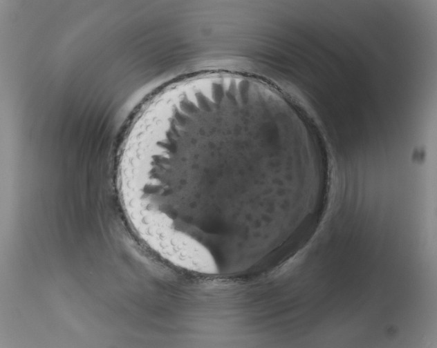 X0000113060830200910091141