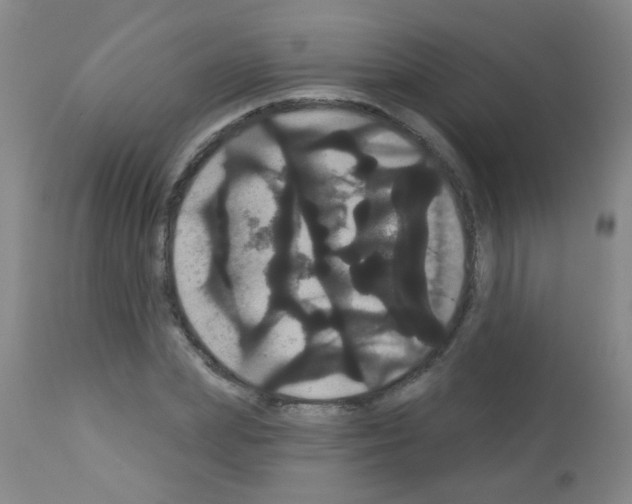 X0000113060831200910091141