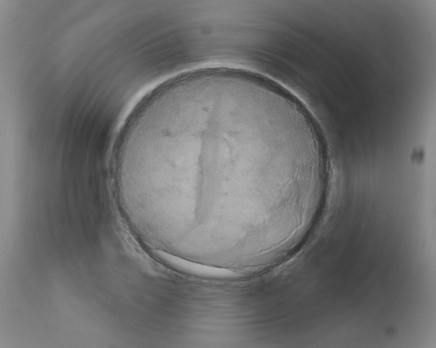 X0000113060832200910091141