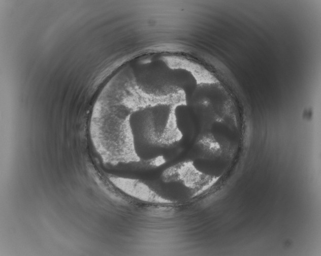 X0000113060833200910091141
