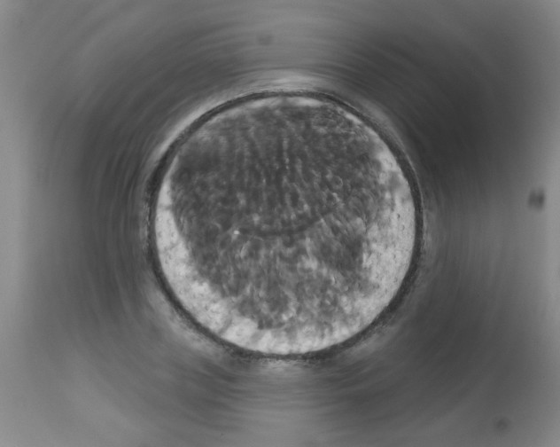 X0000113060835200910091141