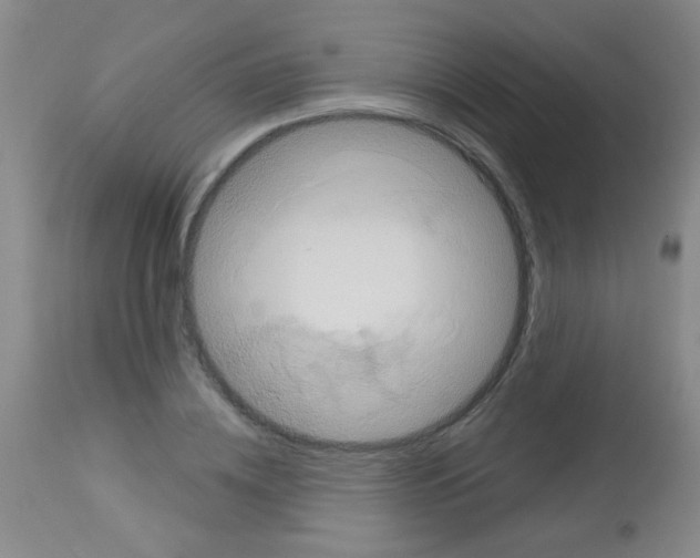 X0000113060836200910091141