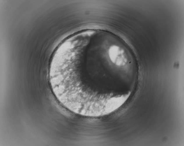 X0000113060837200910091141