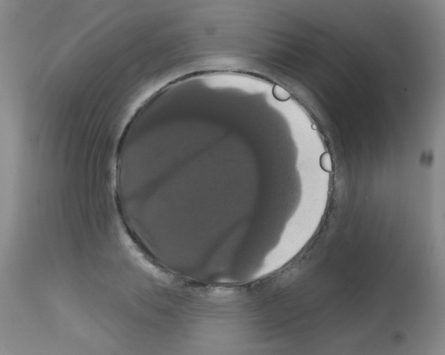X0000113060839200910091141