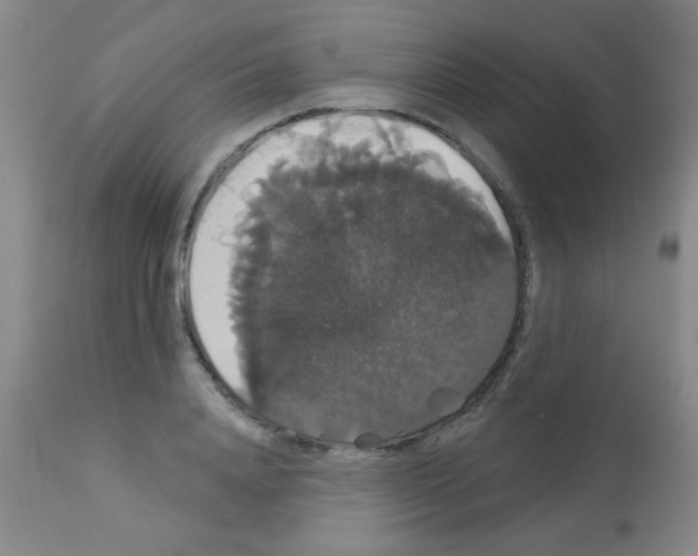 X0000113060840200910091141