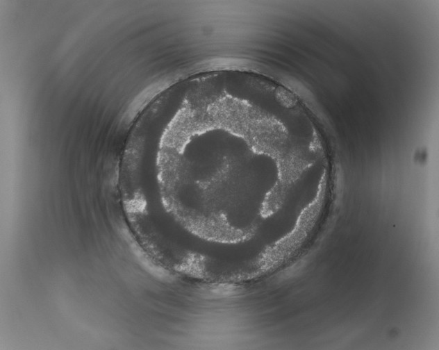 X0000113060841200910091141