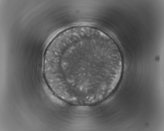 X0000113060844200910091141