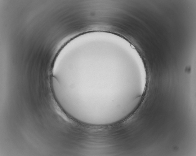 X0000113060846200910091141