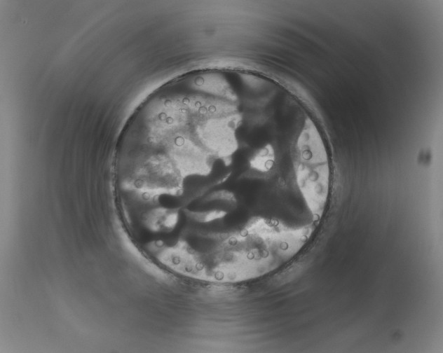 X0000113060847200910091141