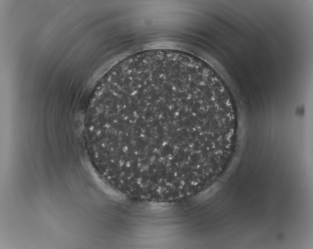X0000113060849200910091141