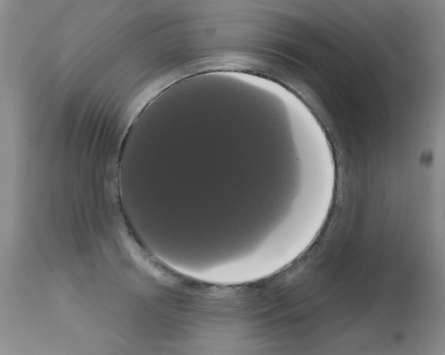X0000113060850200910091141