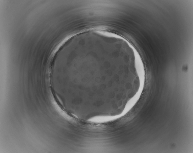 X0000113060851200910091141