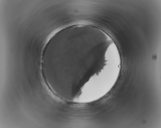 X0000113060853200910091141