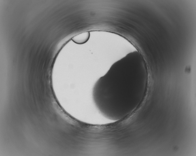 X0000113060854200910091141