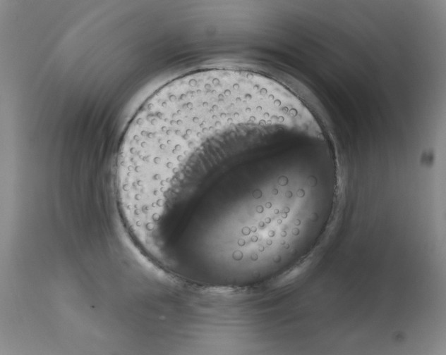 X0000113060855200910091141