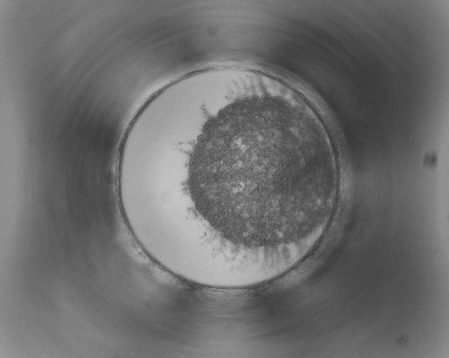 X0000113060856200910091141