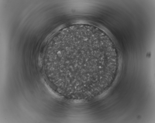 X0000113060857200910091141
