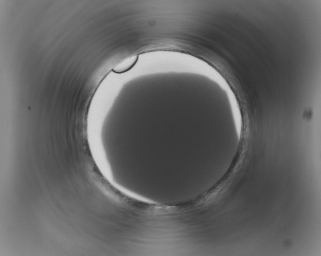 X0000113060858200910091142