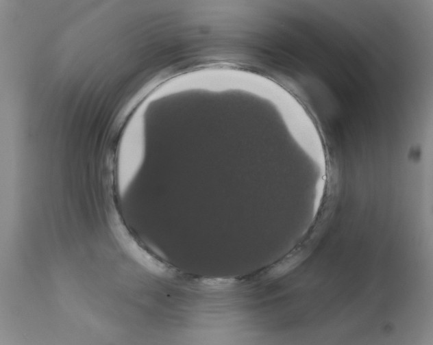 X0000113060859200910091142