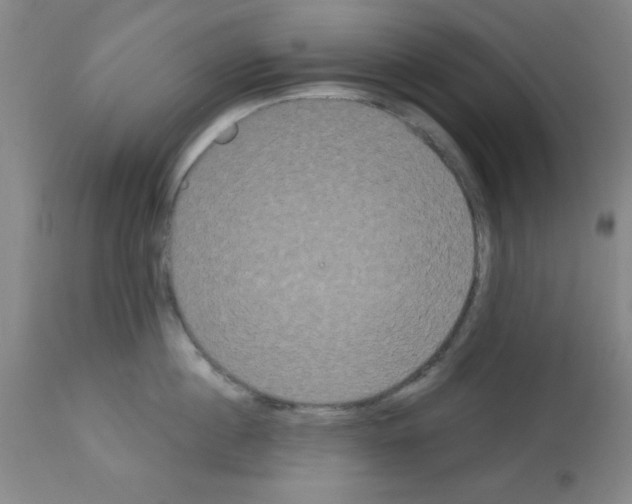 X0000113060860200910091142