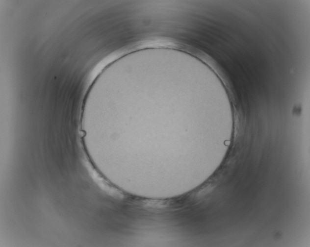 X0000113060861200910091142