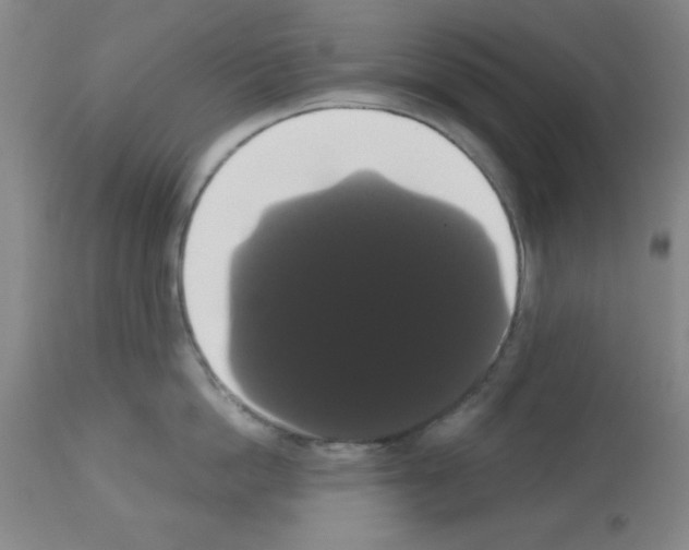X0000113060862200910091142