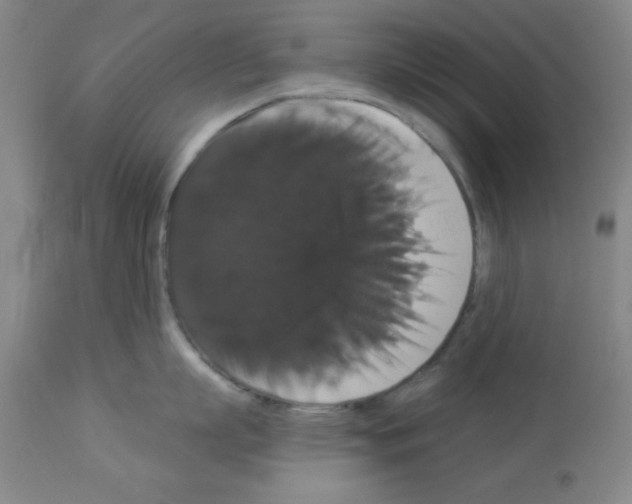 X0000113060863200910091142