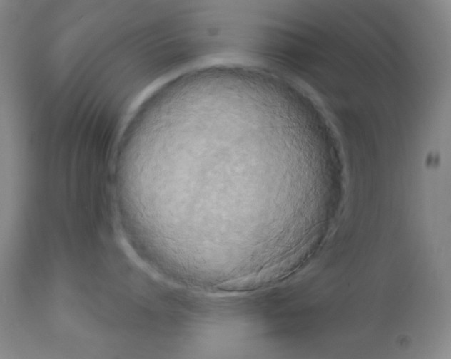 X0000113060864200910091142